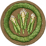 Corn Farming 1942 - 46