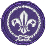 World Crest Patch - Small
