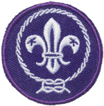World Crest Patch - Small