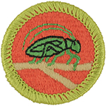 Insect Life 2014 - Current