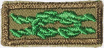 Scouter's Training Award Knot