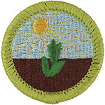Plant Science 2014 - Current