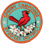 Byrd-Lee District Spring Camporee