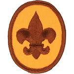 Scout 1976 - 89