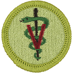 Veterinary Medicine 2010 - 13