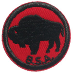 American Bison 1970 - 71