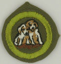 Dog Care 1947 - 60