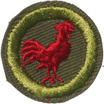 Poultry Keeping 1947 - 60