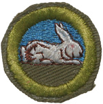 Rabbit Raising 1947 - 60