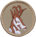 Antelope 1989 - 02