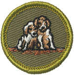 Dog Care 1961 - 68