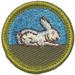 Rabbit Raising 1961 - 68