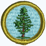 Forestry 1969 - 71