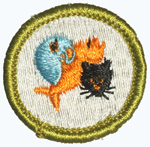 Pets 1969 - 71