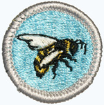 Bee Keeping 1971