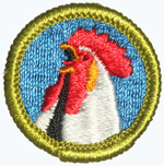Poultry Keeping 1969 - 71