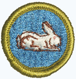 Rabbit Raising 1969 - 71