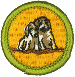 Dog Care 1972 - 75