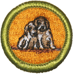 Dog Care 1976 - 88