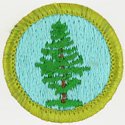 Forestry 1972 - 75