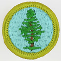 Forestry 1972 - 75