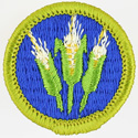 Corn Farming 1972 - 75