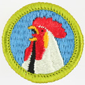 Poultry Keeping 1972 - 75