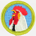 Poultry Keeping 1972 - 75