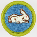 Rabbit Raising 1972 - 75