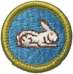 Rabbit Raising 1972 - 75