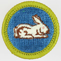 Rabbit Raising 1972 - 75