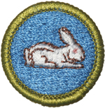Rabbit Raising 1976 - 88