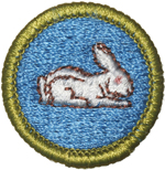 Rabbit Raising 1976 - 88