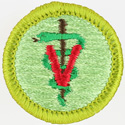 Veterinary Science 1973 - 75